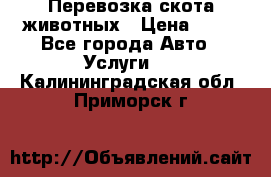 Перевозка скота животных › Цена ­ 39 - Все города Авто » Услуги   . Калининградская обл.,Приморск г.